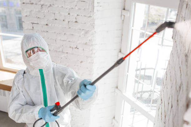 Best Industrial Mold Remediation  in Cornwall On Hudson, NY