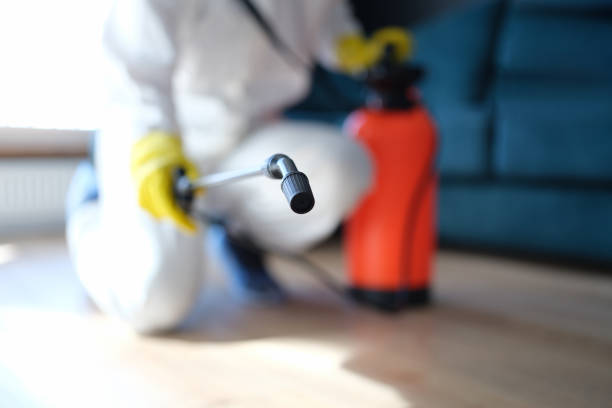 Best Mold Odor Removal Services  in Cornwall On Hudson, NY