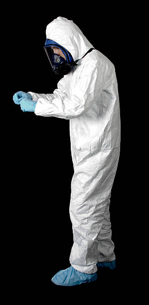 Cornwall On Hudson, NY Mold Removal Company