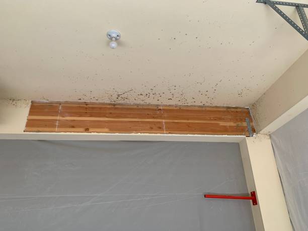 Best Indoor Air Quality Assessment  in Cornwall On Hudson, NY