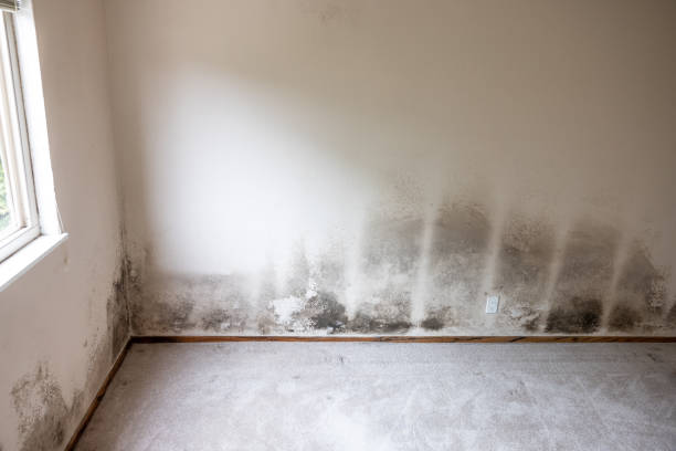 Best Post-Remediation Verification Testing  in Cornwall On Hudson, NY