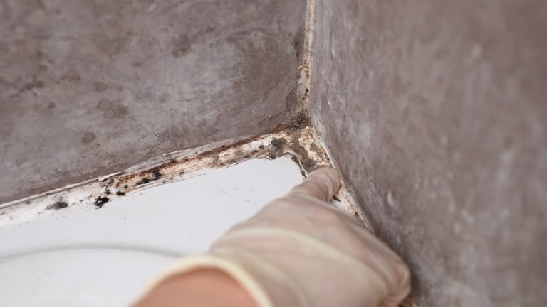 Mold Remediation for Vacation Homes in Cornwall On Hudson, NY